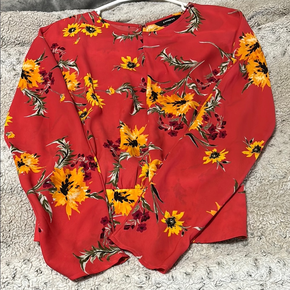 Express Red Floral Blouse